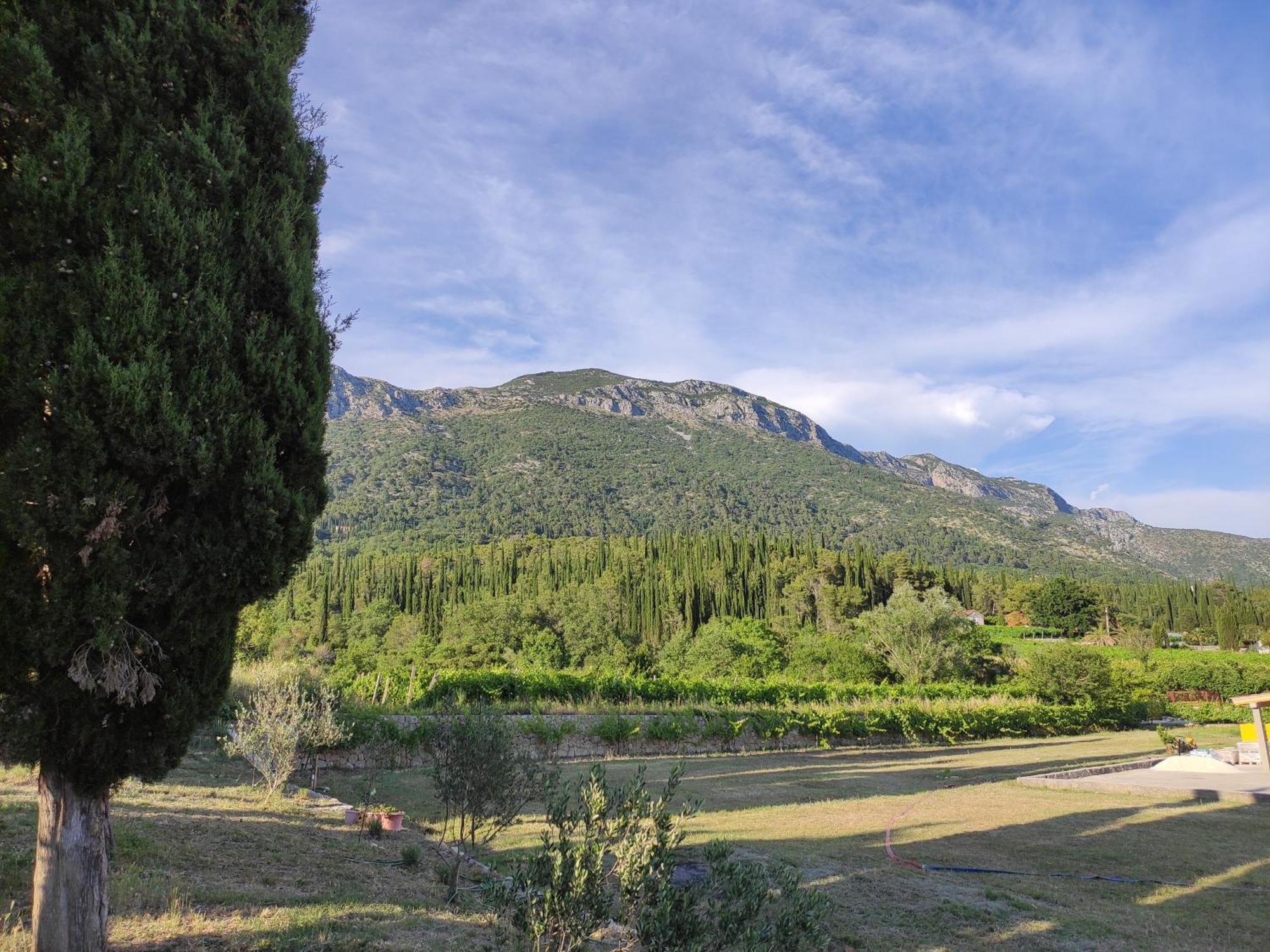 Country House Uros In Nature With Pool Lovorno Exterior foto
